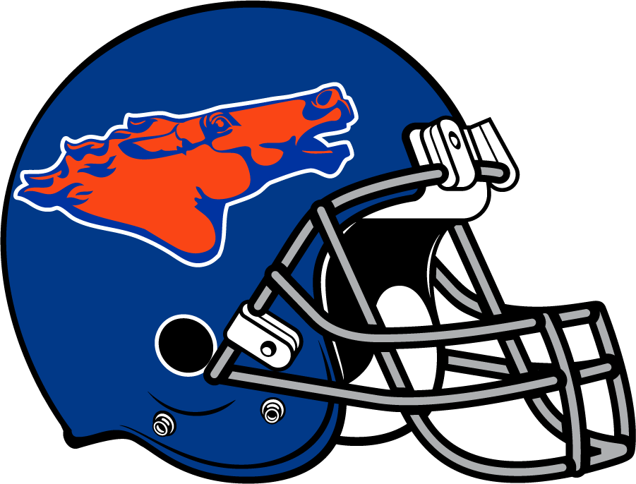 Boise State Broncos 1976-1977 Helmet Logo DIY iron on transfer (heat transfer)